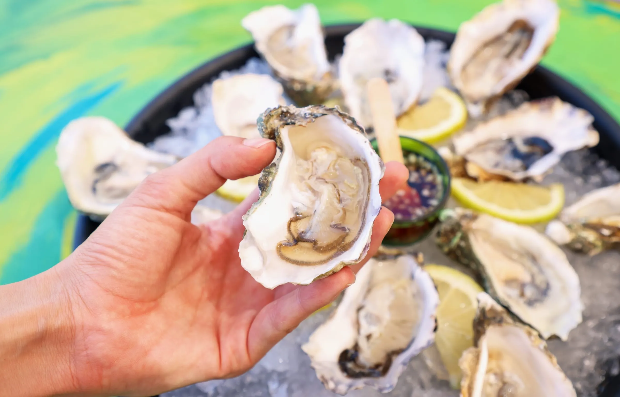 An opened oyster held above a platter of oysters on ice at Oyster's Seafood Bar, Batroun