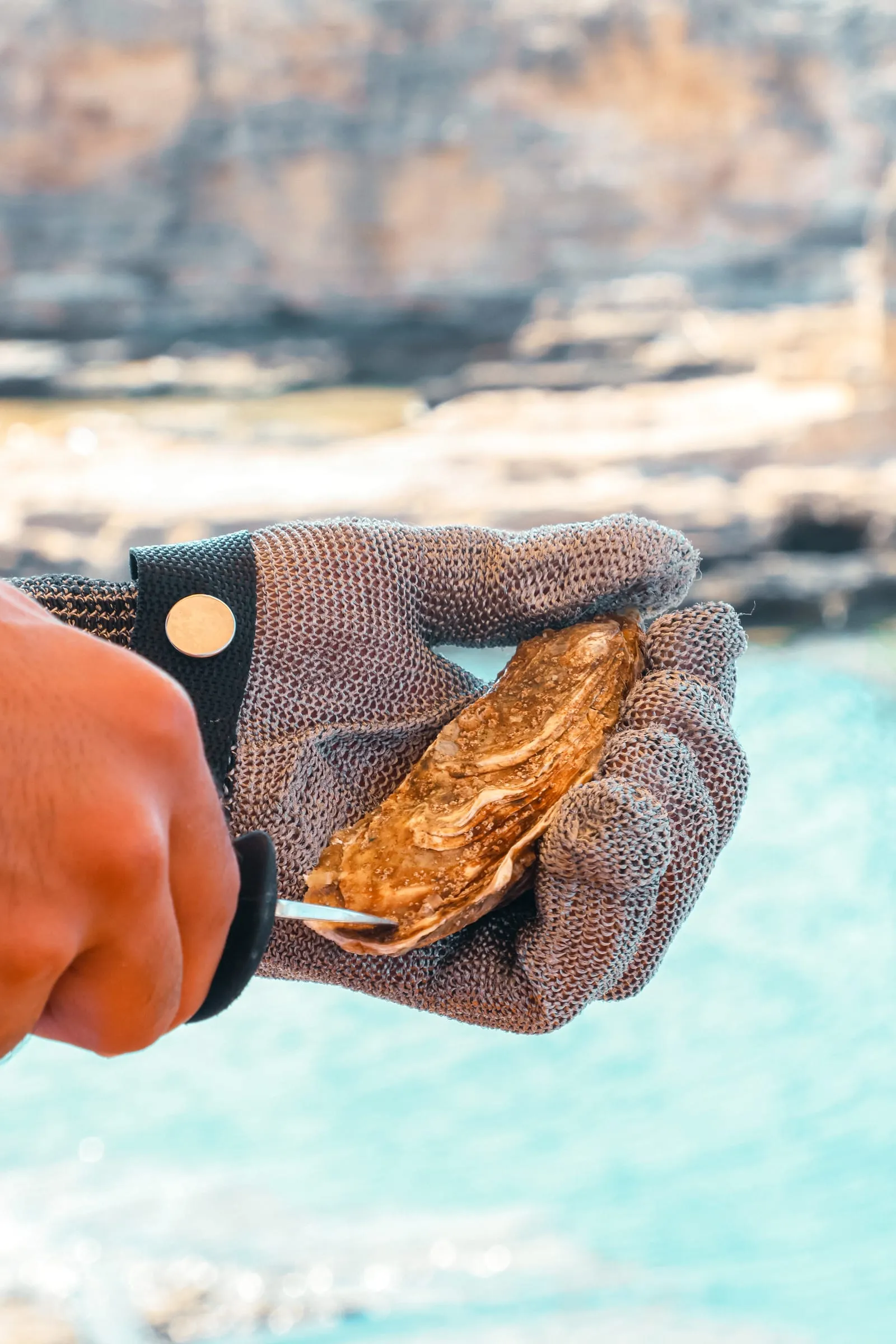 An oyster being opened with a knife and a chainmail glove by the Oyster's Seafood Bar team, Batroun