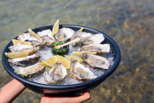 A platter of oysters on ice with lemon, held over the water at Oyster's Seafood Bar, Batroun Mina